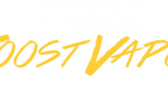 JOOST VAPOR-REVIEW